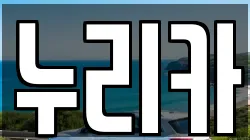 누리카