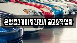 은성콜스카이차간판시공고소작업차
