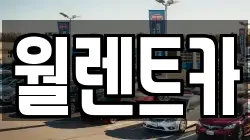 경기도 화성시 산척동 렌트카,단기렌트카,장기렌트카,중고차,중고차매매,중고차매입