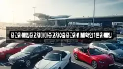 중고차매입중고차매매중고차수출중고차시세확인1톤차매입