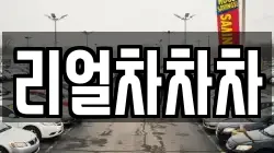리얼차차차