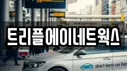 경기도 화성시 새솔동 렌트카,단기렌트카,장기렌트카,중고차,중고차매매,중고차매입