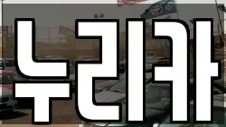 누리카
