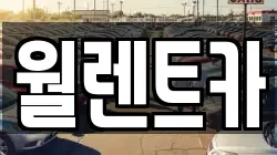 월렌트카