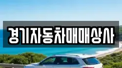 경기자동차매매상사