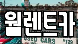 월렌트카
