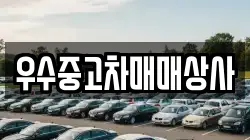 우수중고차매매상사