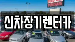 신차장기렌터카