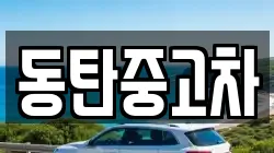 동탄중고차