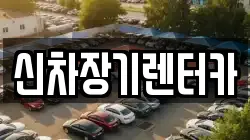 신차장기렌터카