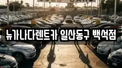뉴가나다렌트카 일산동구 백석점