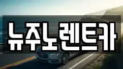 뉴주노렌트카