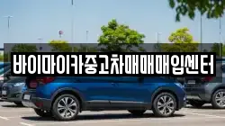 바이마이카중고차매매매입센터