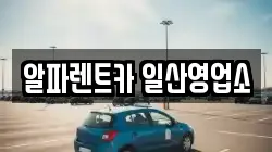 알파렌트카 일산영업소
