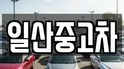 일산중고차