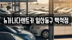 뉴가나다렌트카 일산동구 백석점
