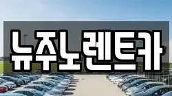 뉴주노렌트카