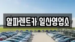 알파렌트카 일산영업소
