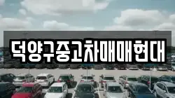 덕양구중고차매매현대