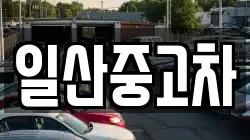 일산중고차