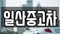 일산중고차