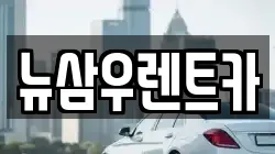 경기 고양시 덕양구 성사동 렌트카,단기렌트카,장기렌트카,중고차,중고차매매,중고차매입