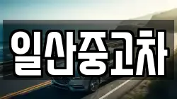 일산중고차