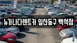 뉴가나다렌트카 일산동구 백석점