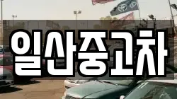 일산중고차