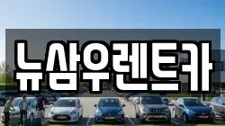 경기 고양시 덕양구 주교동 렌트카,단기렌트카,장기렌트카,중고차,중고차매매,중고차매입