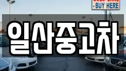 일산중고차