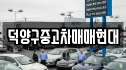 덕양구중고차매매현대