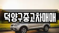 덕양구중고차매매