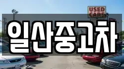 일산중고차