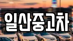 일산중고차