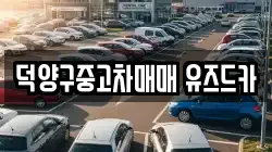 덕양구중고차매매 유즈드카