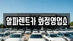 알파렌트카 화정영업소
