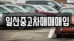 일산중고차매매매입