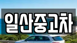 일산중고차