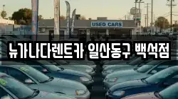 뉴가나다렌트카 일산동구 백석점