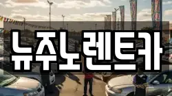 뉴주노렌트카