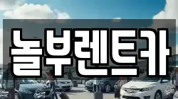 놀부렌트카