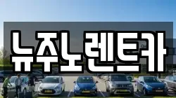 뉴주노렌트카