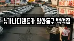 뉴가나다렌트카 일산동구 백석점