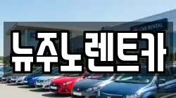 뉴주노렌트카
