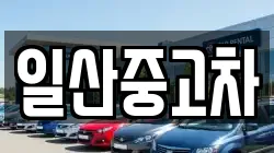 일산중고차