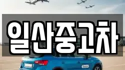 일산중고차
