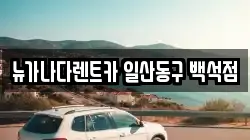 뉴가나다렌트카 일산동구 백석점