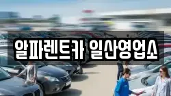 알파렌트카 일산영업소