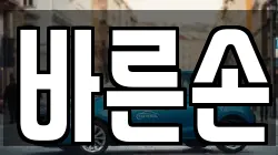 바른손